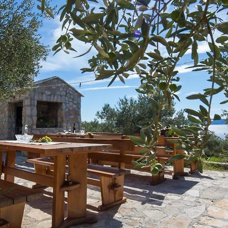 Apartmani Villa Athina Tučepi Exterior foto